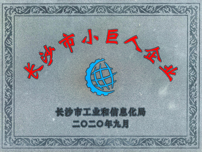 長(zhǎng)沙市小巨人企業(yè)